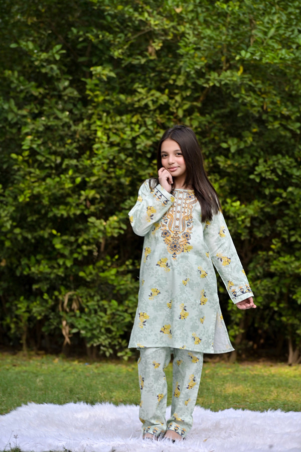 Pastel Dream Embroidered Khaddar 02 Piece – Green (RTW) 💫
