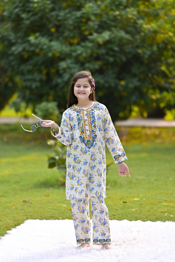Snow Petal Embroidered Khaddar 02 Piece – White & Blue (RTW) ❄️🌼