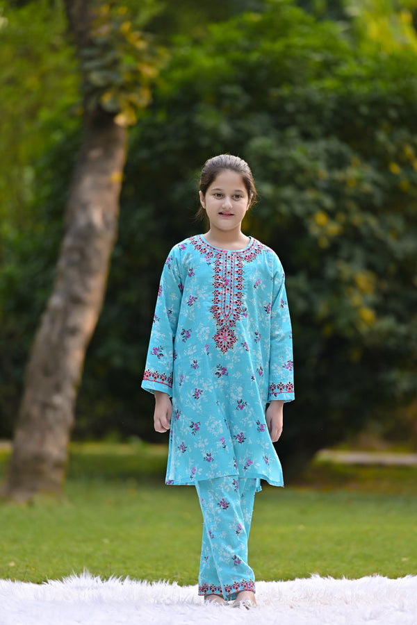 Mint Blossom Embroidered Khaddar 2 Piece – Winter Wear ( RTW )